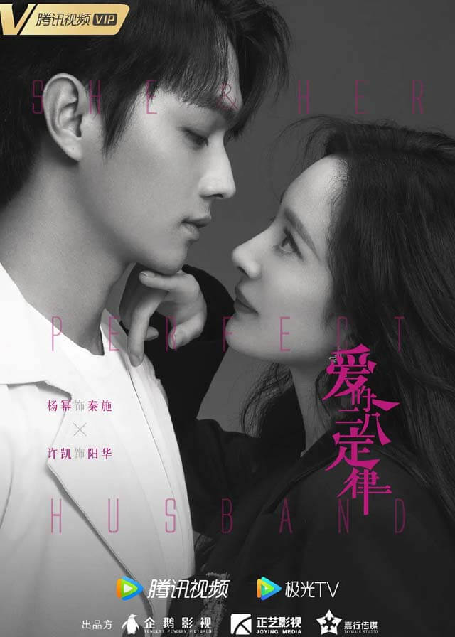 She and Her Perfect Husband (2022) chinese drama